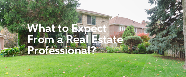 What to expect from a real estate professional   from Jethro Seymour, one of the top Davisville Real Estate Brokers