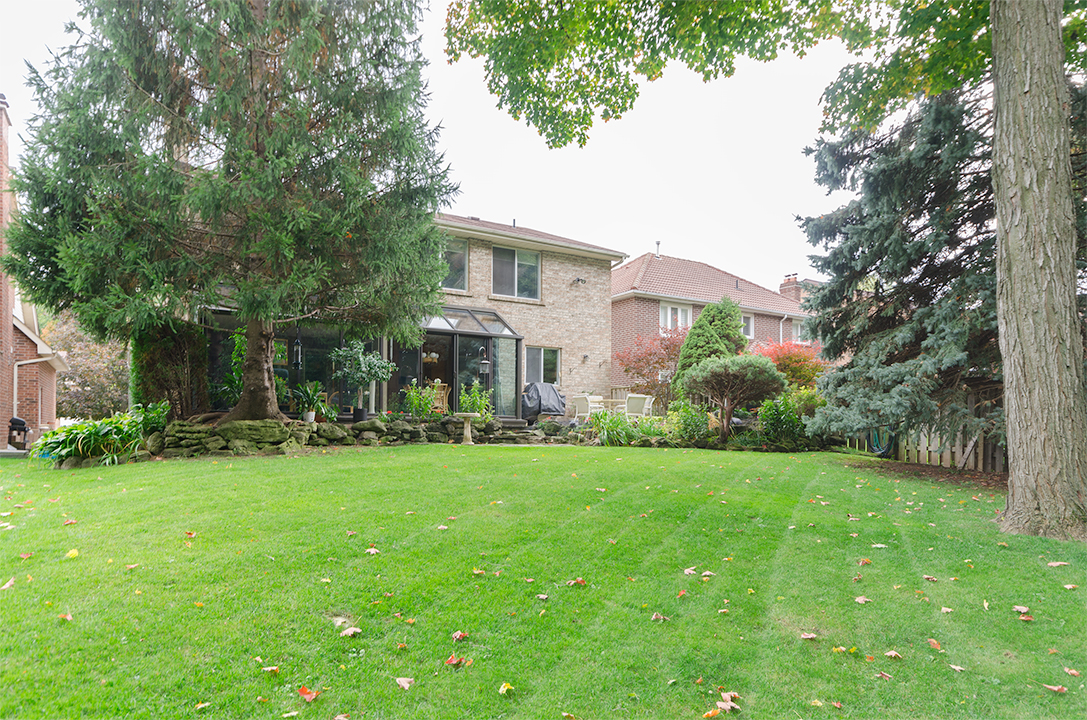 Backyard view looking at the back of 16 MacPhail court | Home for Sale | Jethro Seymour, one of the Top Davisville Real Estate Broker