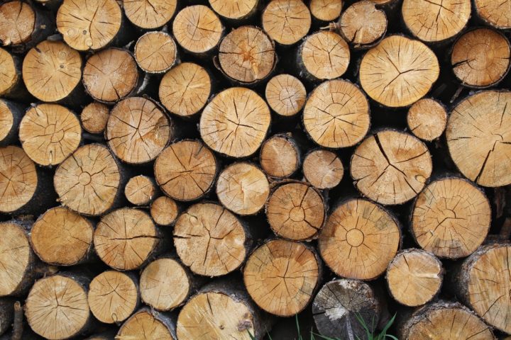 Wood logs - Broker Jethro Seymour's November Giveaway