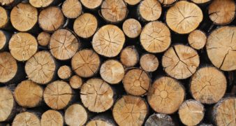 Wood logs - Toronto Real Estate Broker Jethro Seymour's November Giveaway